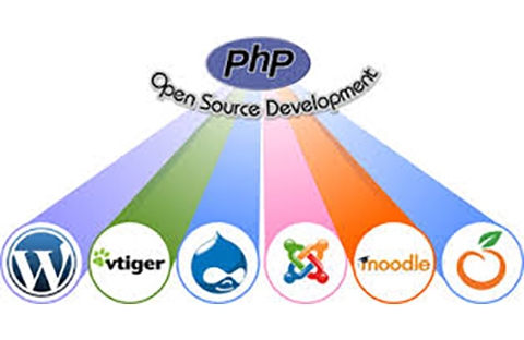 WeeTech Solution WebSite development Services