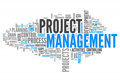 it-project-manager